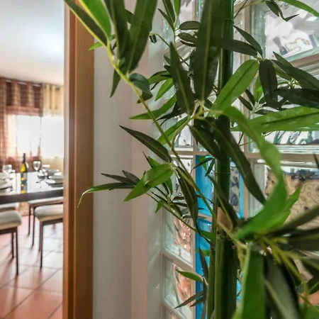 Ocean's Terrace Appartement *